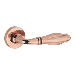 Arcadia on Rose Luxury Interior Door Handle Set