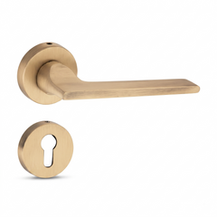 Brutus on Rose Luxury Interior Door Handle Set