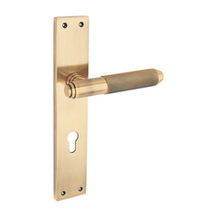 Insignis Luxury Interior Door Handle Set