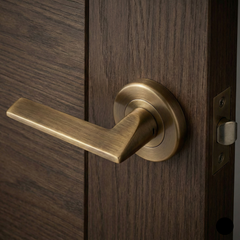 Vector Luxury Interior Door Handle Set