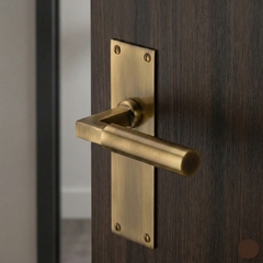 Smithson Luxury Slimline Interior Door Handle on Backplate