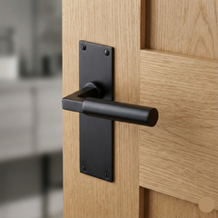 Smithson Luxury Slimline Interior Door Handle on Backplate