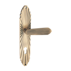 Lumeira Luxury Interior Door Handle Set