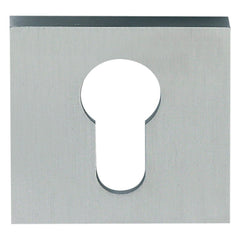 Square Concealed Escutcheon