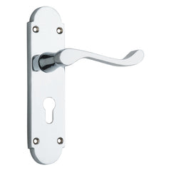 Shaped Scroll Lever on Back Plate lever EuroProfile - Smooth finish - 168mm X 40mm