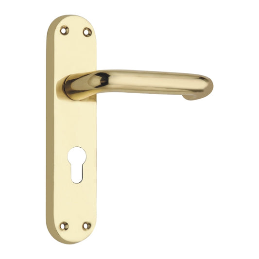 Lever on Back Plate (Regalo Series Lever Euro Profile) -180mm x 41mm