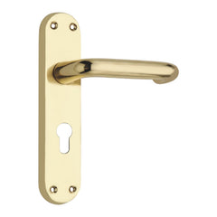 Lever on Back Plate (Regalo Series Lever Euro Profile) -180mm x 41mm