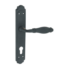 Arcadia Luxury Interior Door Handle Set
