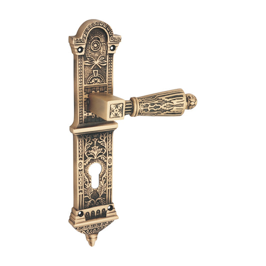 Arcus Luxury Interior Door Handle Set