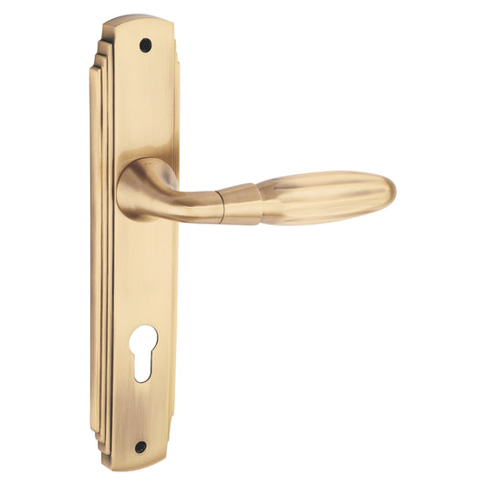 Aurum Luxury Interior Door Handle Set