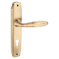Aurum Luxury Interior Door Handle Set