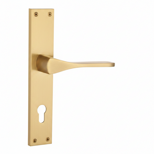 Certus Luxury Interior Door Handle Set