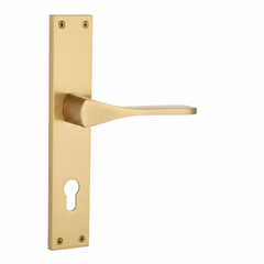 Certus Luxury Interior Door Handle Set