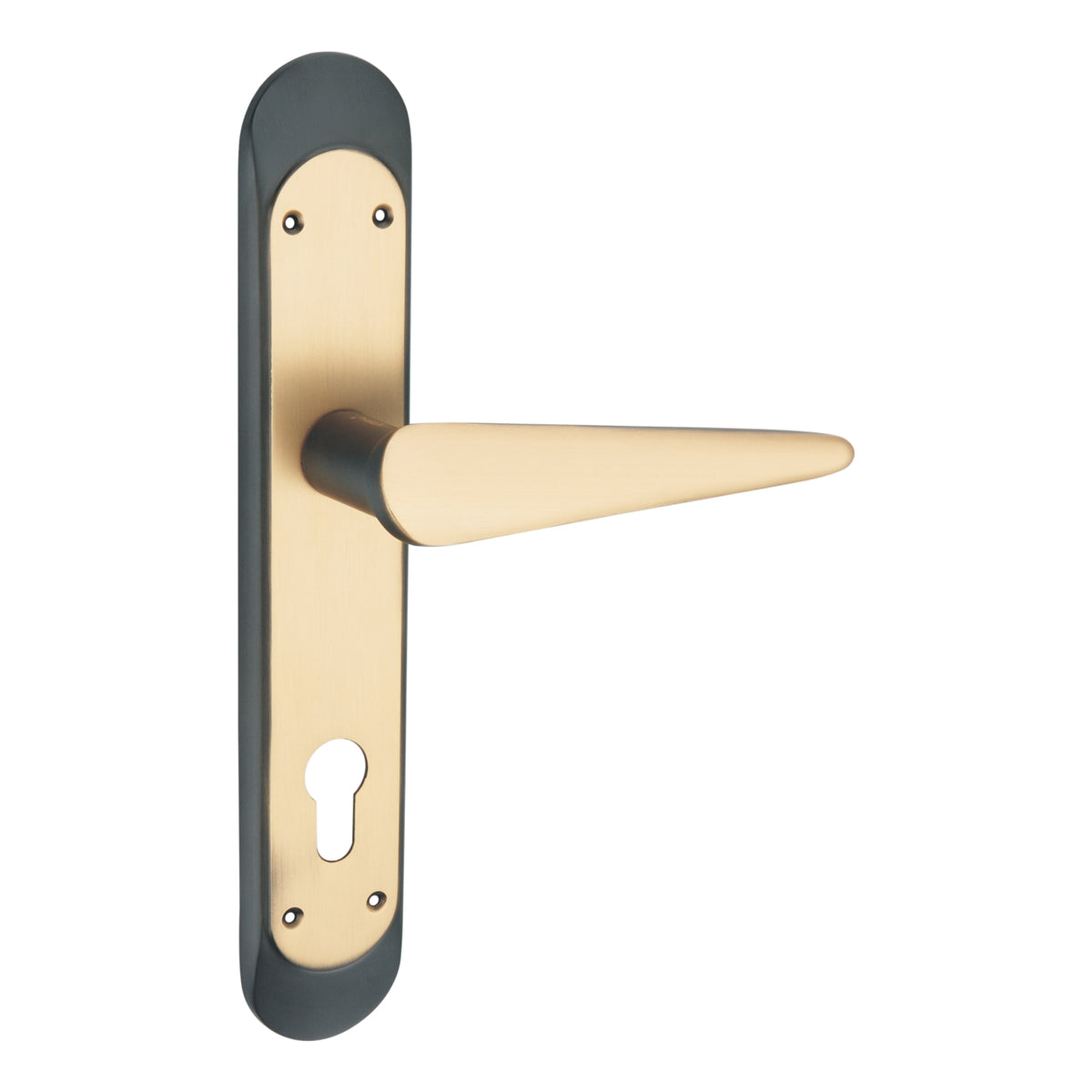 Eleganto Luxury Interior Door Handle Set