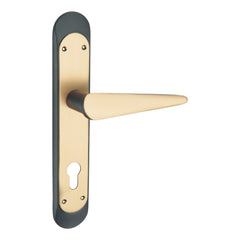 Eleganto Luxury Interior Door Handle Set