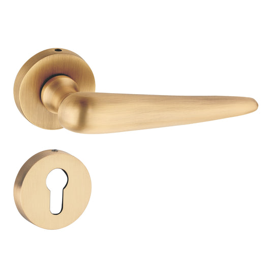 Eleganza on Rose Luxury Interior Door Handle Set