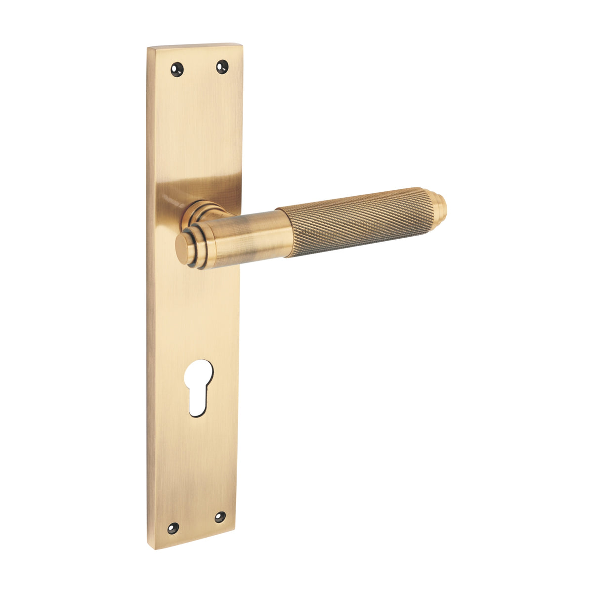 Insignis  Luxury Interior Door Handle Set