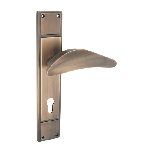 Intima Luxury Interior Door Handle Set