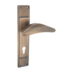 Intima Luxury Interior Door Handle Set