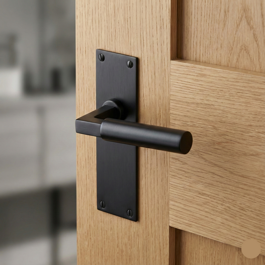 Smithson Luxury Slimline Interior Door Handle on Backplate