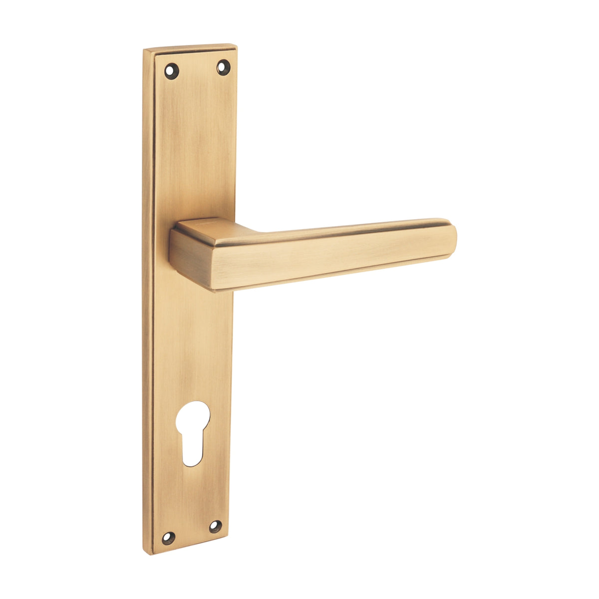 Momento Luxury Interior Door Handle Set