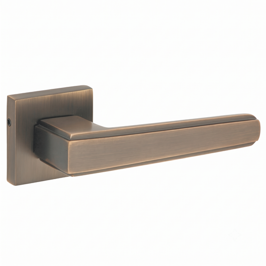 Momento on Rose Luxury Interior Door Handle Set