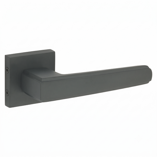 Momento on Rose Luxury Interior Door Handle Set