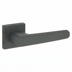 Momento on Rose Luxury Interior Door Handle Set