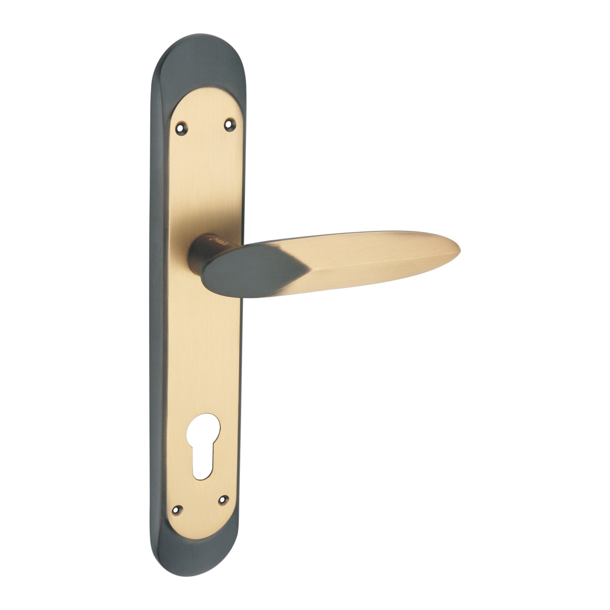 Noble Luxury Interior Door Handle Set