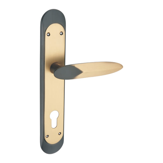 Noble Luxury Interior Door Handle Set