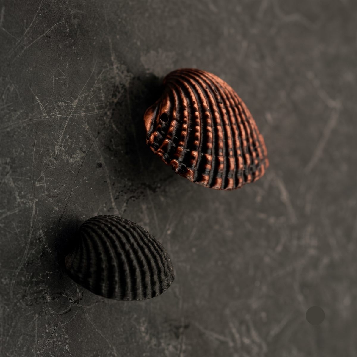 Nautica Luxury Cabinet Knob - Multiple Sizes