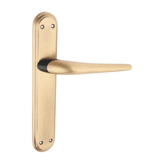Nexa Luxury Interior Door Handle Set
