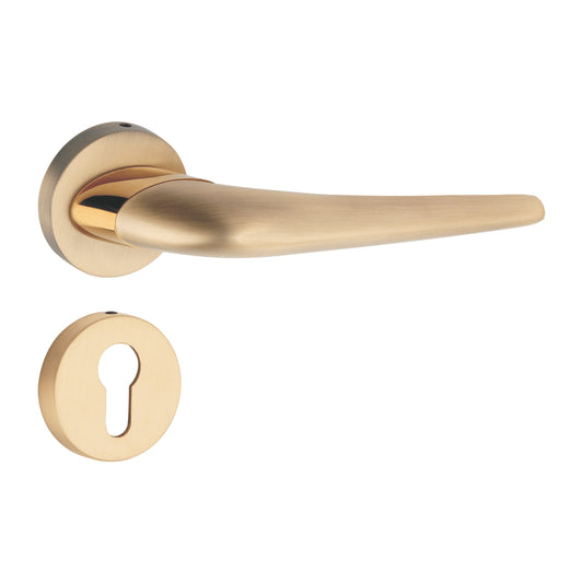Nexa on Rose Luxury Interior Door Handle Set