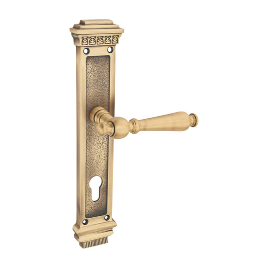 Rarus Luxury Interior Door Handle Set
