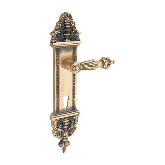 Regent Luxury Interior Door Handle Set