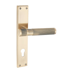 Splendora Luxury Interior Door Handle Set