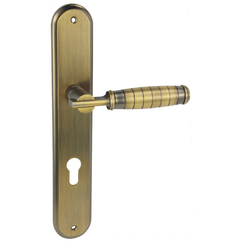 Drum Liner Lever on Back Plate - 240mm x 40mm x 135mm