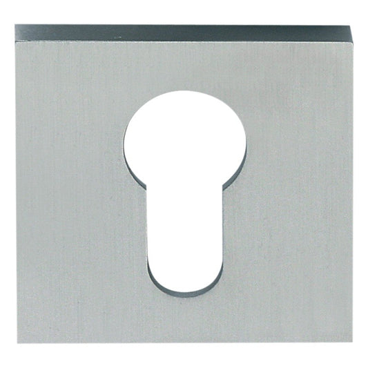Square Concealed Escutcheon