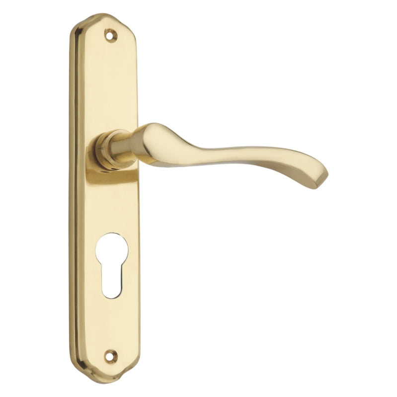 Lever on Back Plate Pavone Exclusive Range Lever EuroProfile - 195mm X 38mm